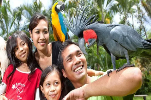 Bali Bird Park